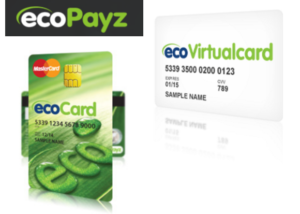ecoPayz（エコペイズ）の［ecoCard］・［Virtualcard］のイメージ画像