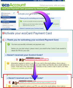 ecoCard（エコカード）の有効化とPINコードの取得要求イメージ画像